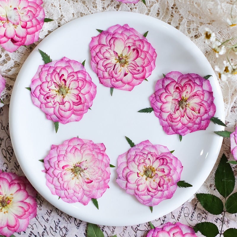 Resin Art Rose Petals - 6pcs,Natural Rose Lotus Pressed Dried Flowers